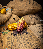 Responsible Cocoa Sourcing policy